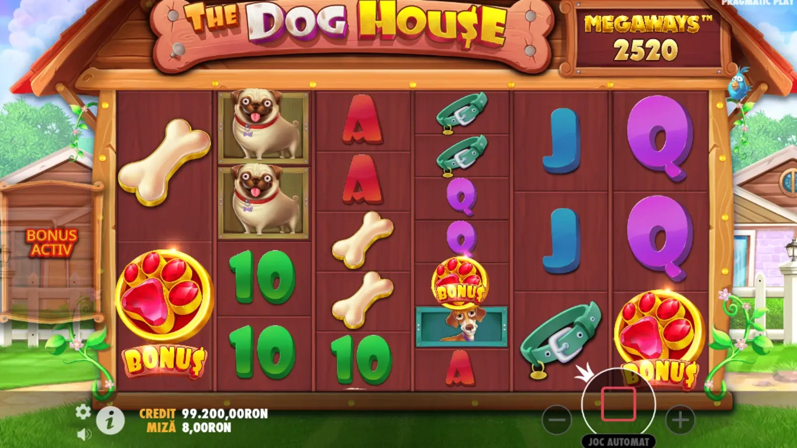 the dog house megaways